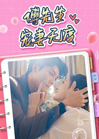 傅先生宠妻无度海报